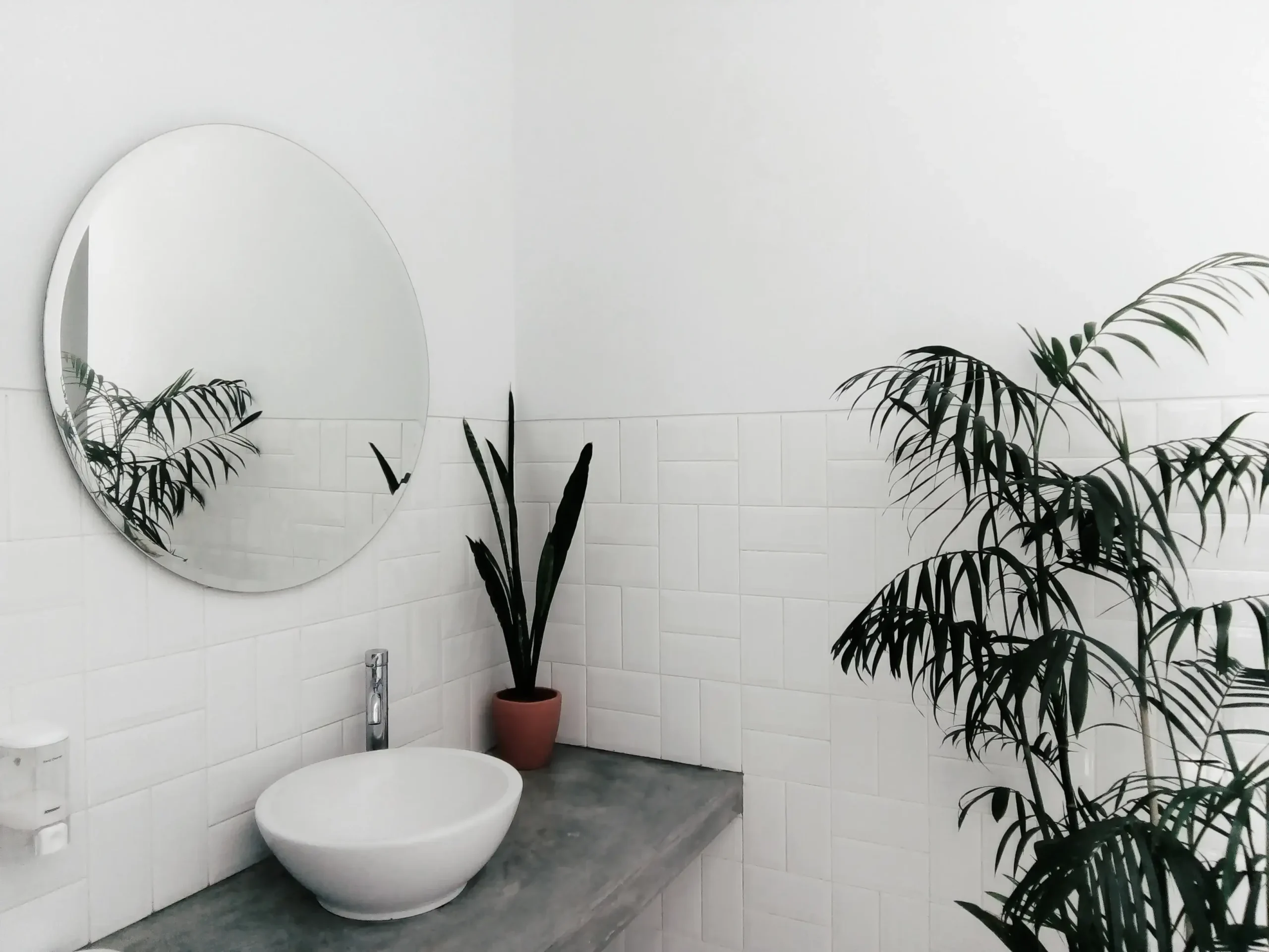 Plants in bathroom decor along with mirror and bathroom sink